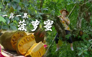 Descargar video: 一席一果（二十七）全身是宝的巨无霸水果——菠萝蜜【滇西小哥】