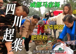 Download Video: 四川农村赶大集，成都马家场人山人海，街头美食丰富多彩，麻辣肥肠粉真过瘾，军屯锅盔真香，小树林里买卤肉现卤现捞，香味飘满半条街