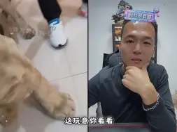 下载视频: 潘宏直播间惊现狮子