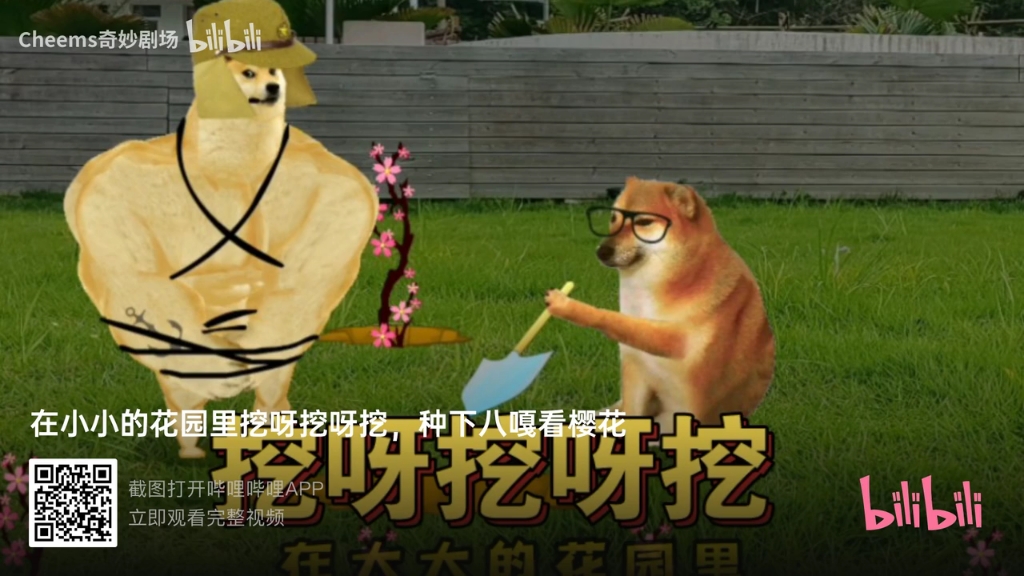 挖呀挖呀挖原视频 B站