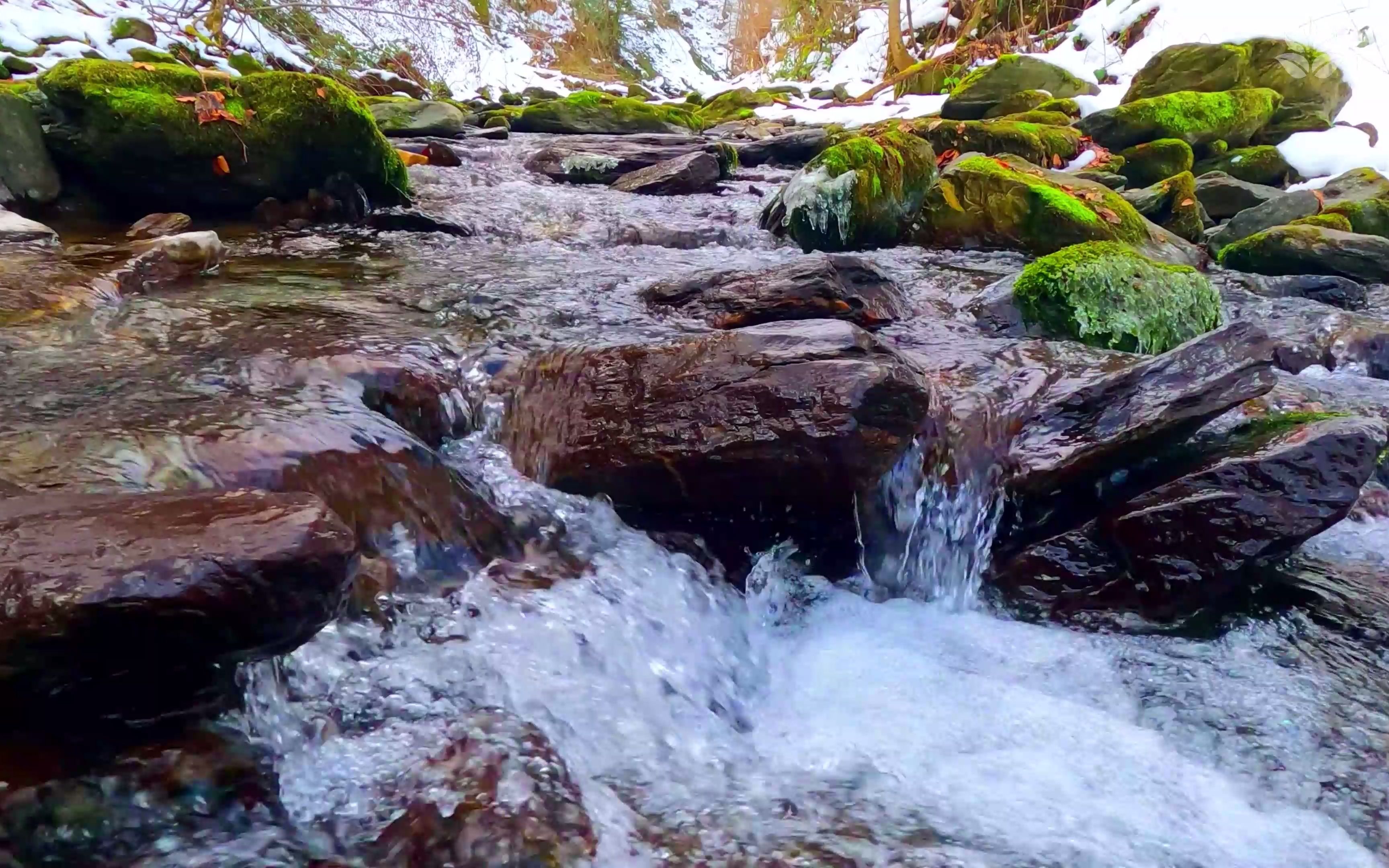 溪流的背景噪音,山中美丽的溪流 1 小时. 流水声,水花声和潺潺水声.