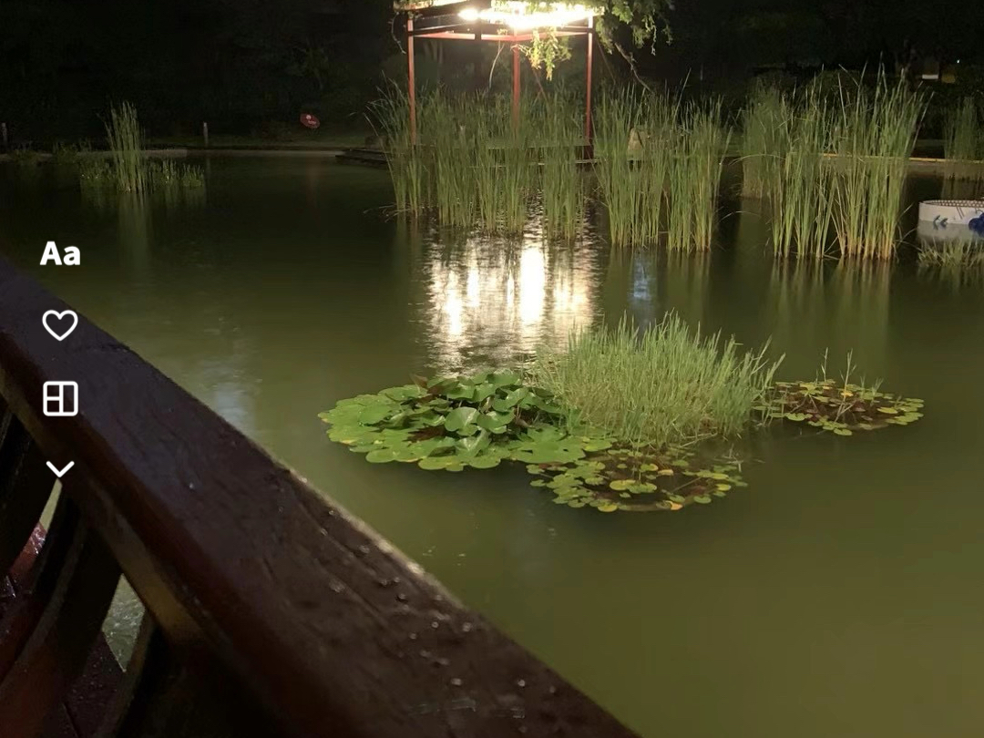 夜晚静谧池塘美景!