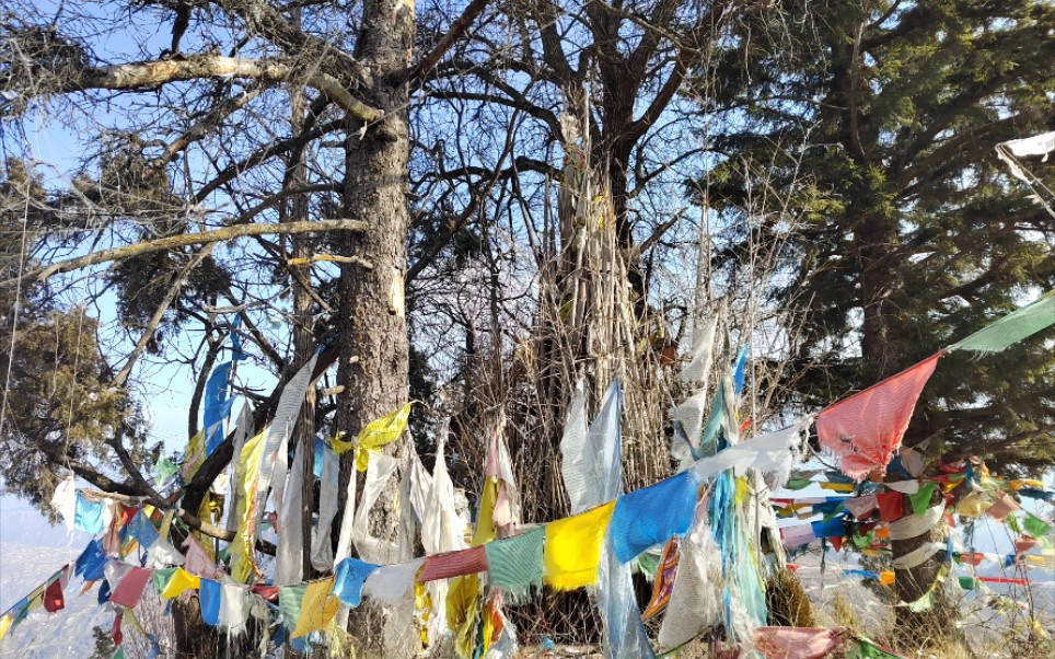 [图]祭拜山神