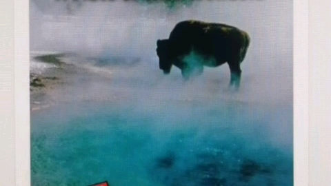 [图]RAZ(H) Yellowstone: A Place of Wild Wonders. 合并讨论重制版