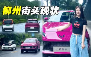 Download Video: 柳州本地车，五菱星云开上路了！