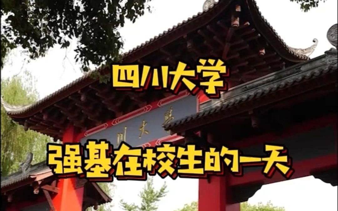 四川大学强基在校生的一天!做云学霸我们是认真的!哔哩哔哩bilibili