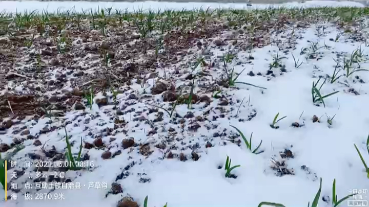 [图]青海高原的季节