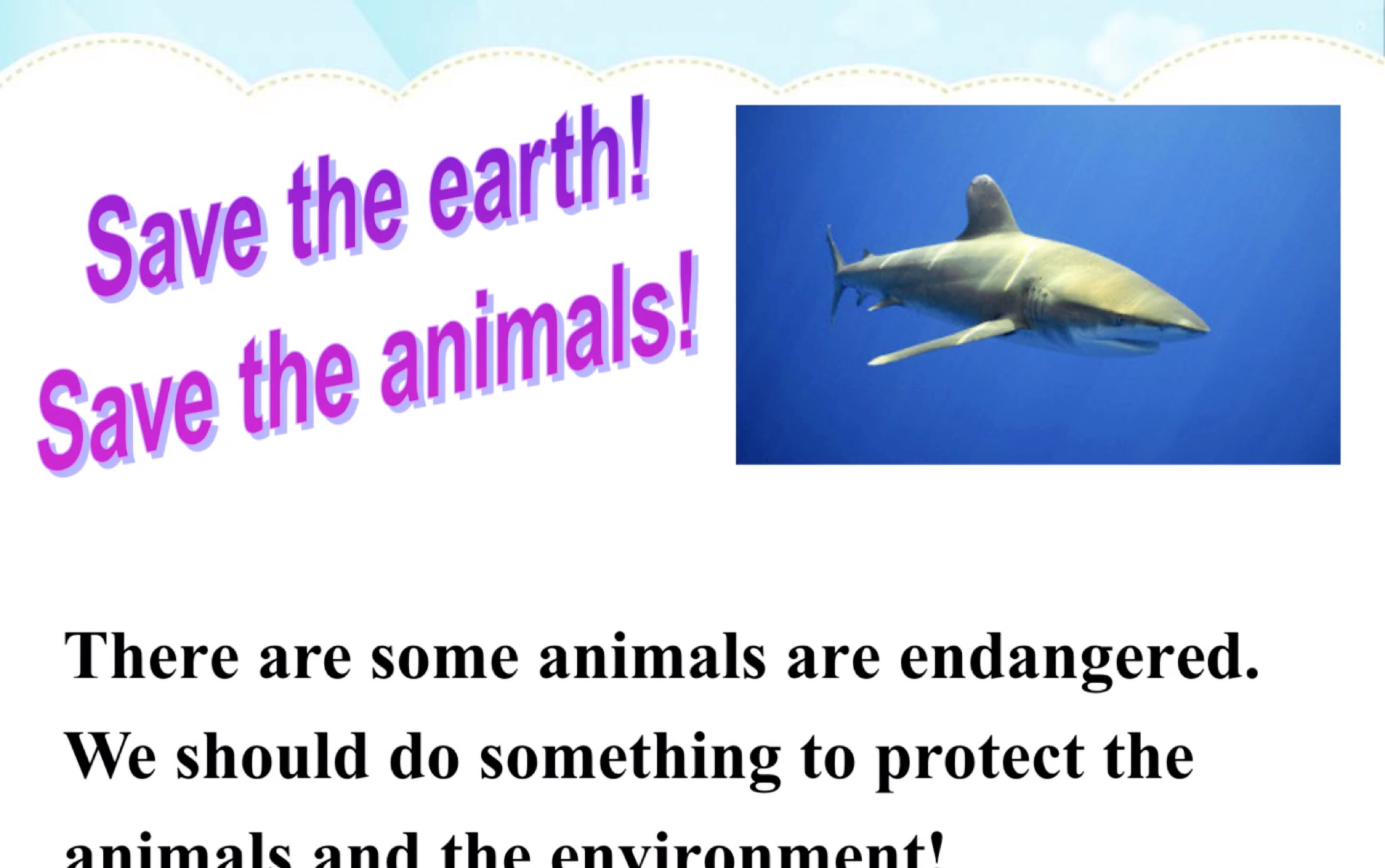 Save the Sharks!哔哩哔哩bilibili