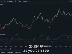 Download Video: 适合初学者的最佳 1 分钟倒卖策略！