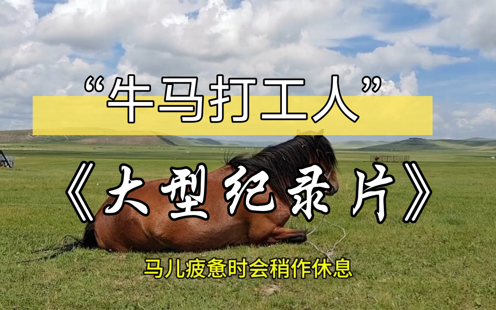 大型纪录片《牛马打工人》