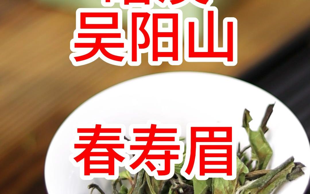 磻溪吴阳山春寿眉,花香明显,冰糖甜很足.不愧为磻溪的福鼎白茶.#福鼎白茶哔哩哔哩bilibili