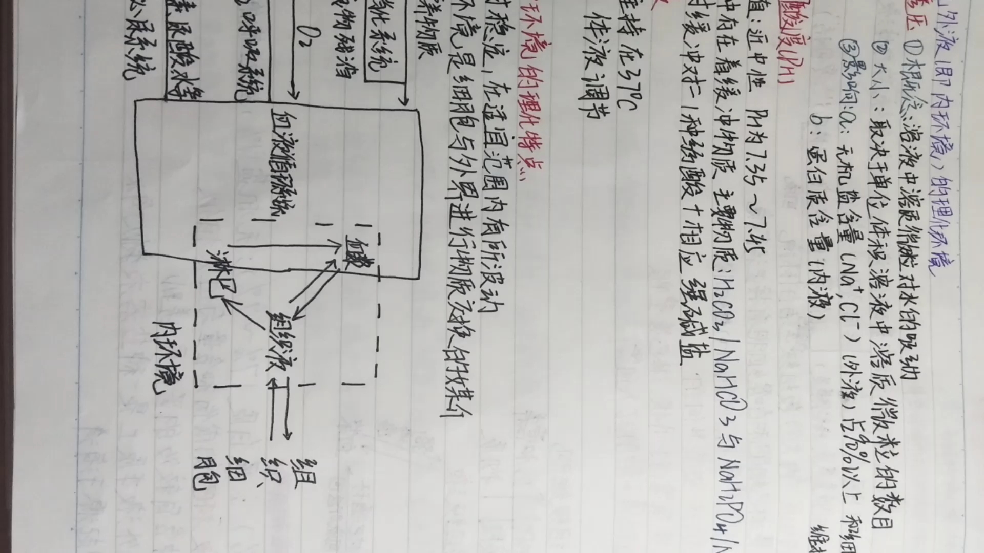 一些有关生物的笔记哔哩哔哩bilibili