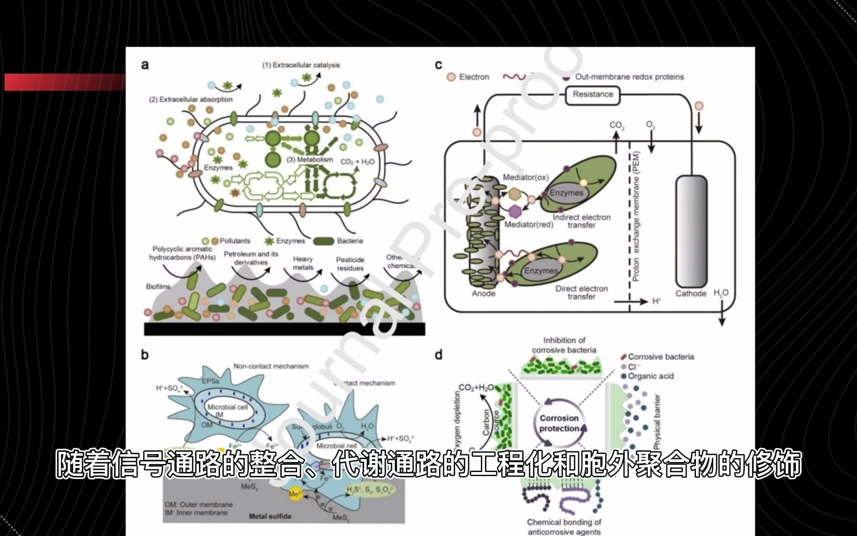 每日一合成生物学进展 2022.3.9 细菌生物膜作为多种应用的平台.哔哩哔哩bilibili