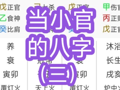 当小官的八字(三)哔哩哔哩bilibili