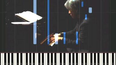 Ryuichi Sakamoto - Ryuichi Sakamoto: Playing The Piano 2009