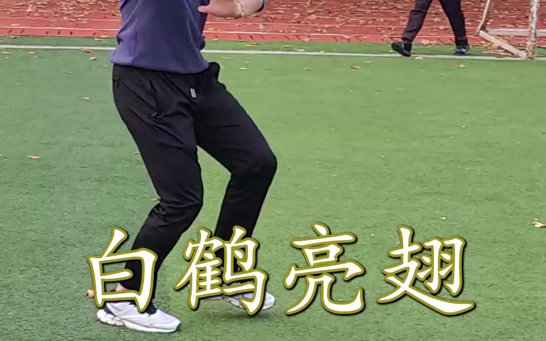 [图]当代大学生日常——速通简化太极拳