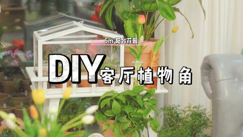 Diy客厅植物角 开箱 打造客厅迷你植物温室 哔哩哔哩