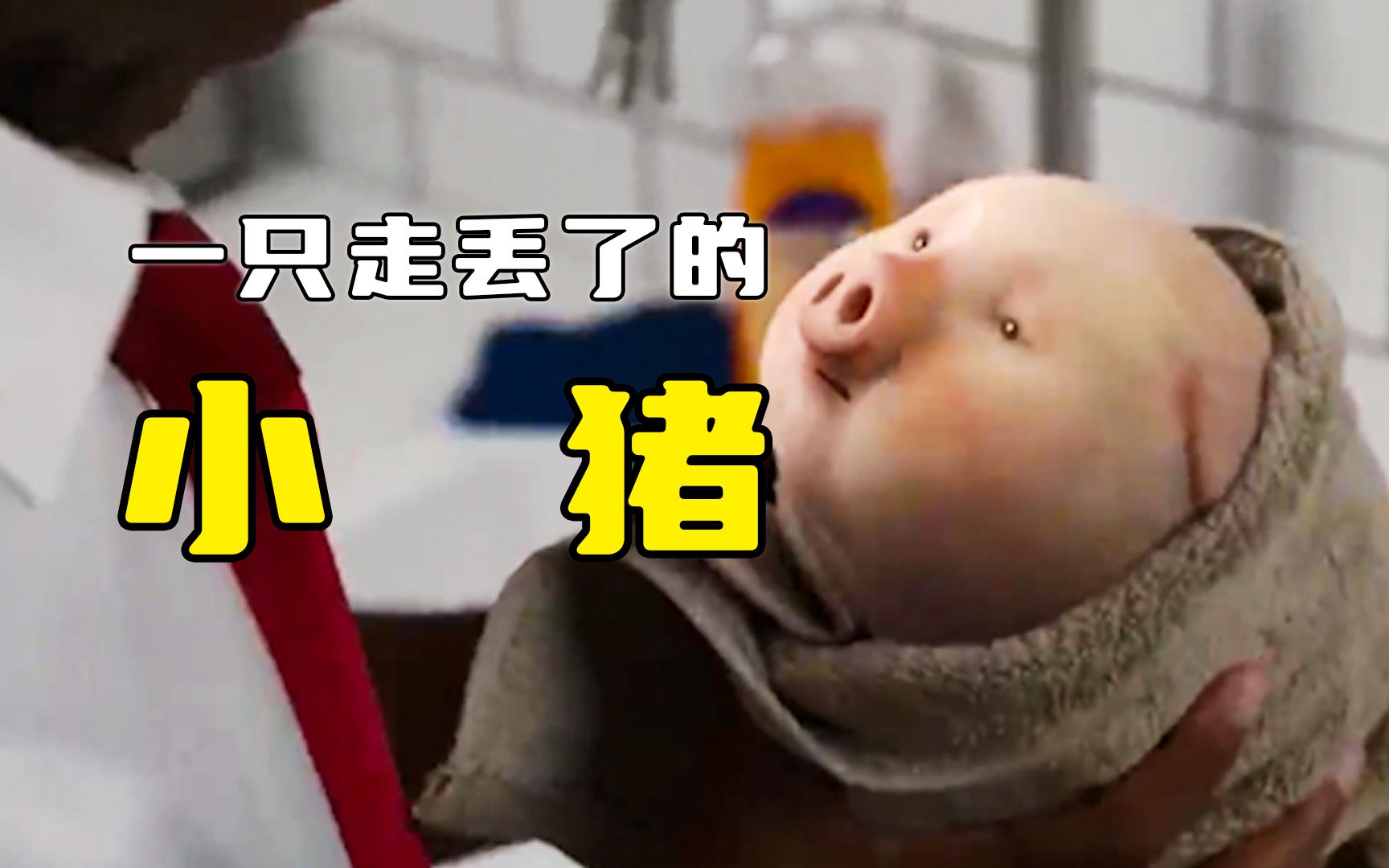 一只可爱的小猪走丢了在历尽千辛万苦终于找到了主人