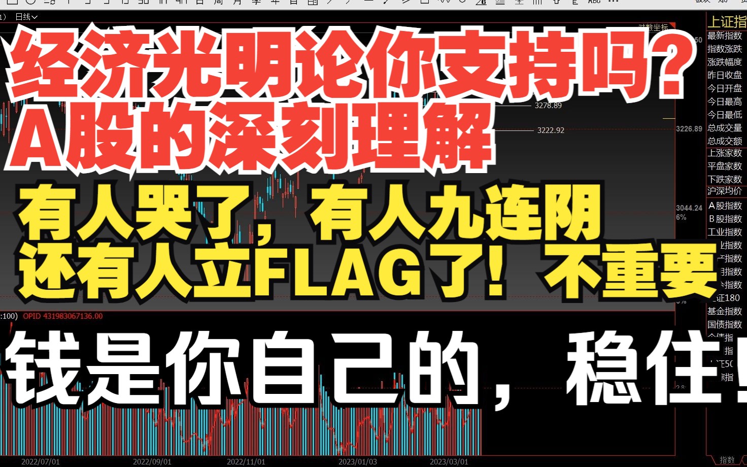 [图]2023.3.19 周末沙龙节选,<<经济光明论你支持吗? ,A股的深刻理解>>