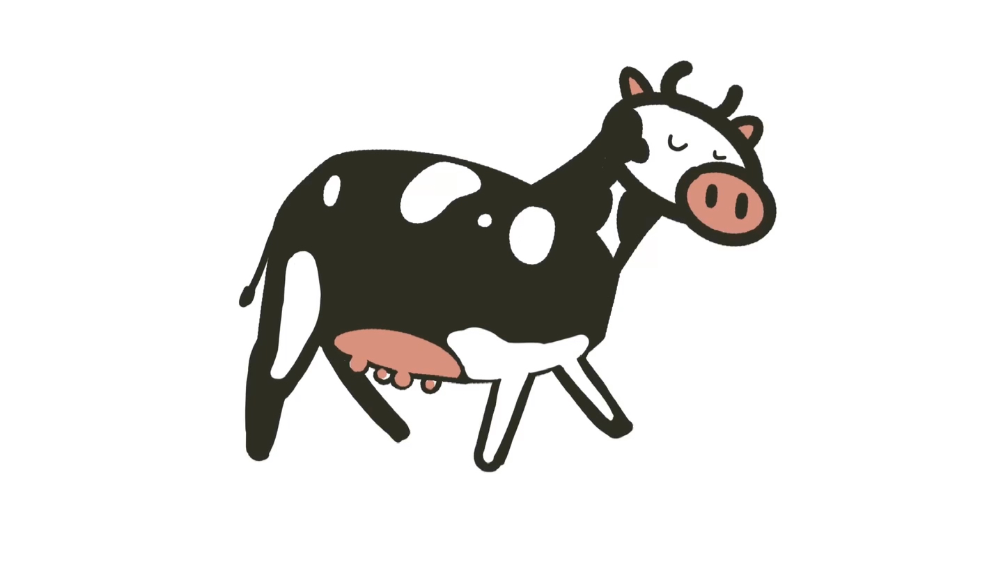 重新定义波兰牛