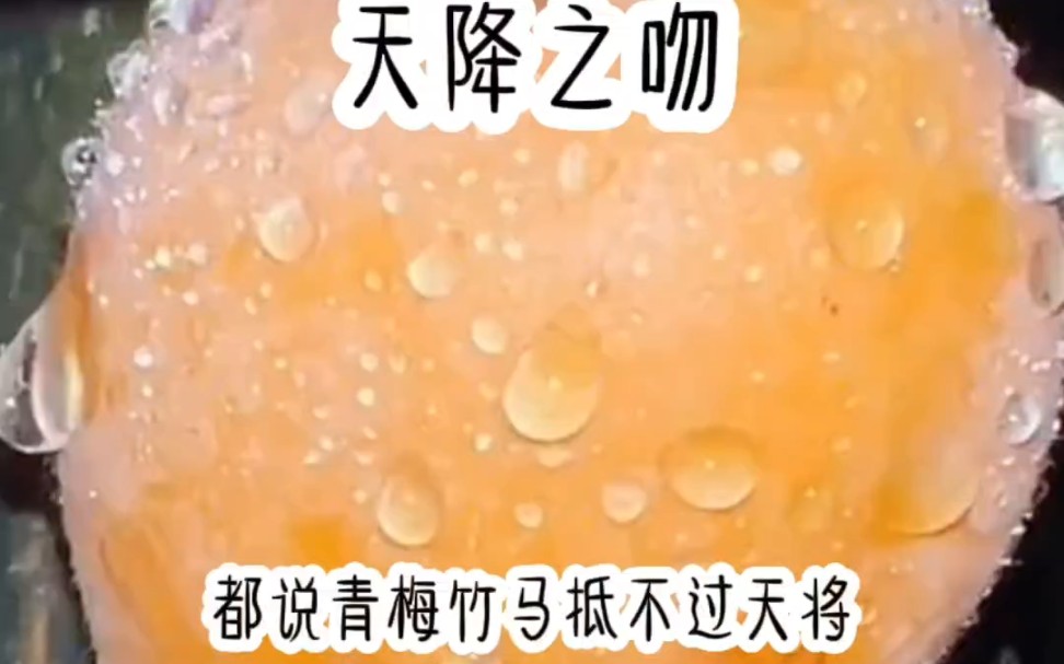 天降之吻哔哩哔哩bilibili