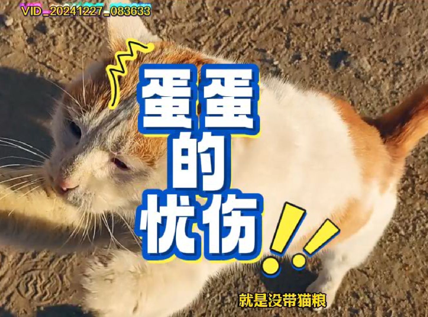 蛋蛋的忧伤