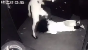 全市唯一敢调戏女鬼的男人