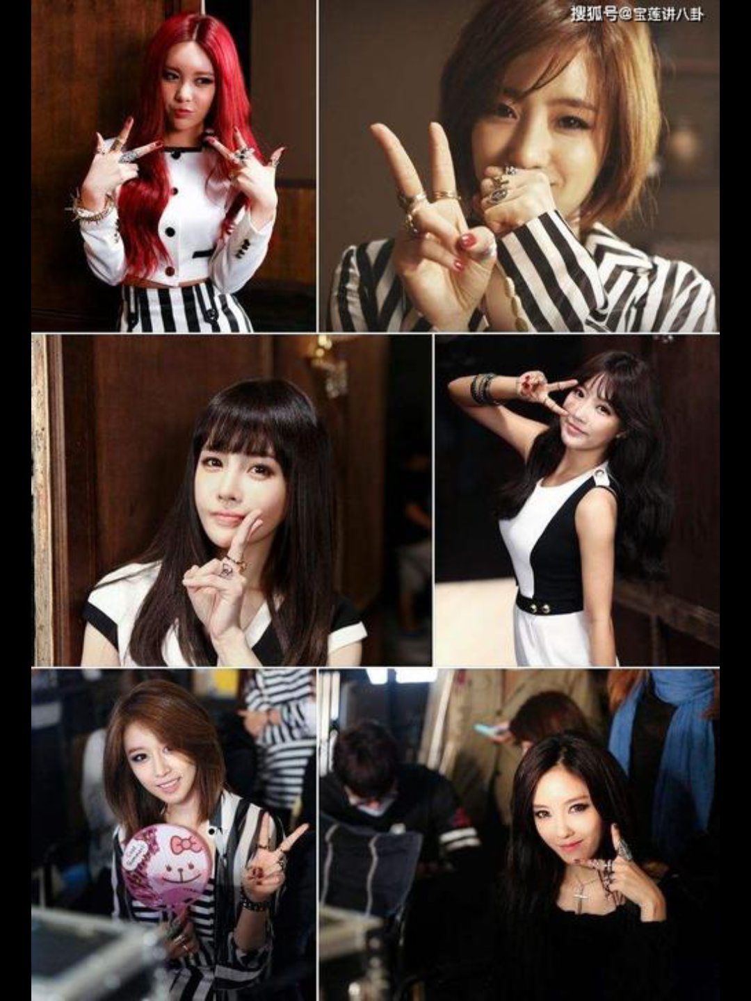 tara重新集结,扬帆起航.这次应该是顺风顺水.