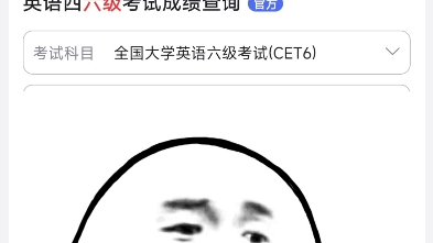 六级查成绩哔哩哔哩bilibili