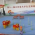 第十一届江苏省大学生龙狮精英赛   乙组传统北狮——扬州工业职业技术学院