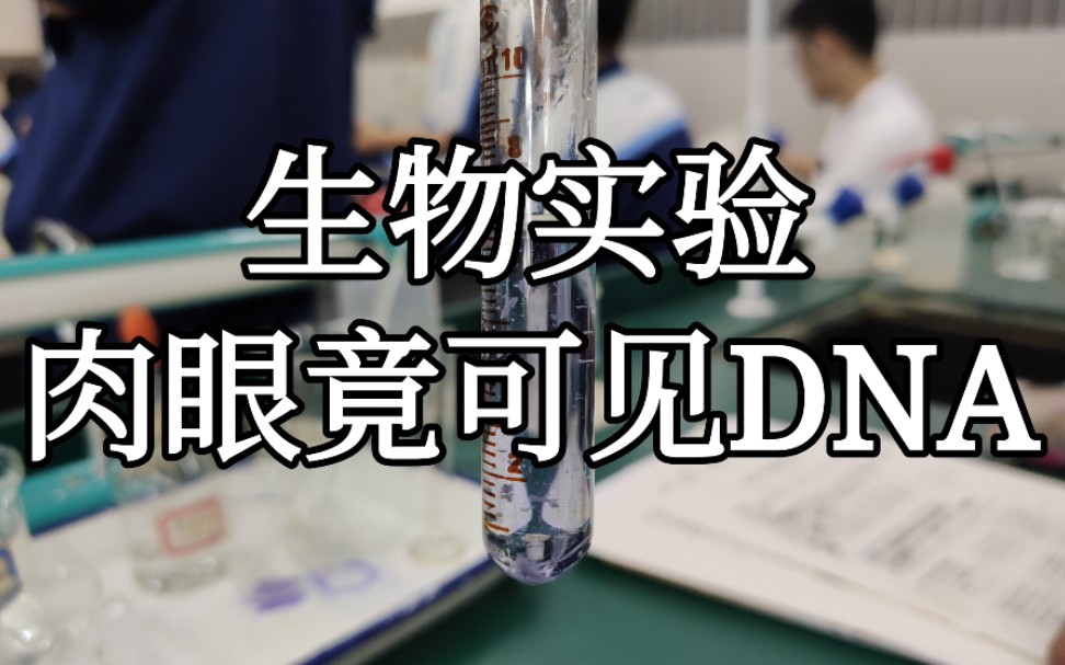 【高中生物实验】DNA粗提取和鉴定哔哩哔哩bilibili