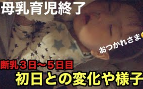 【饼干搬运】【T CHANNEL】【日本妈妈的断奶日记】断乳育儿物语〜3日到5日的样子〜哔哩哔哩bilibili