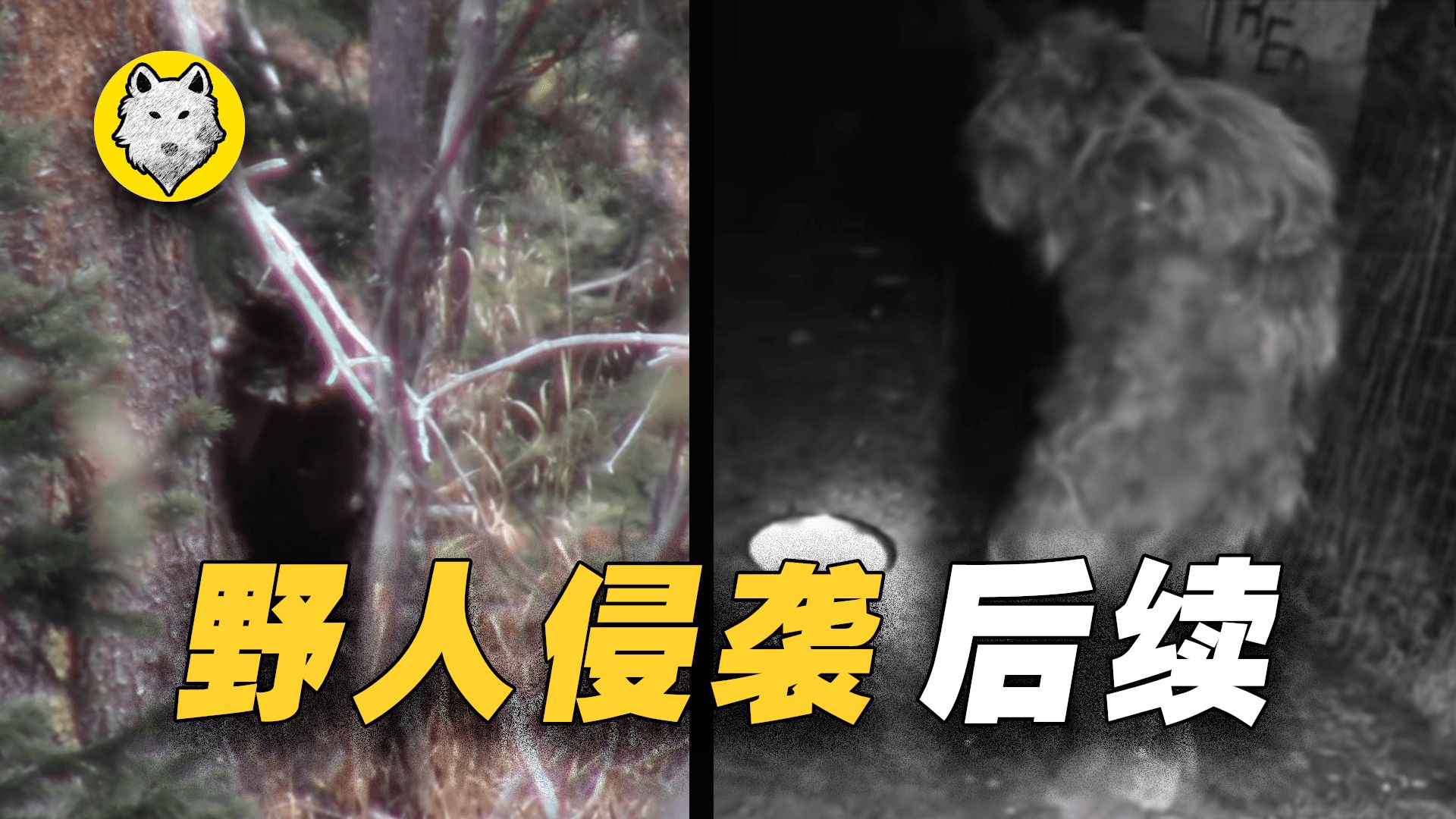 [图]【野人系列】大脚怪跟踪猎人至家，并多次对其进行恐吓，野人侵袭事件后续