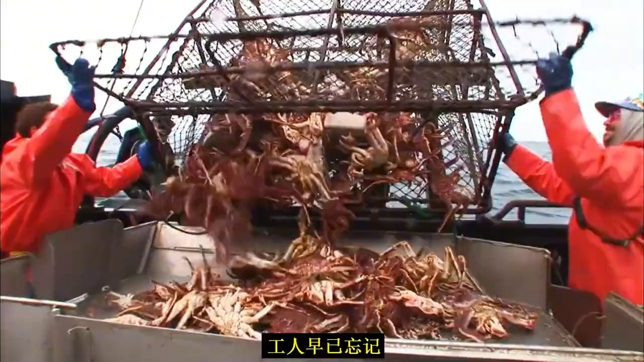 阿拉斯加捕蟹人不慎落水 大家嘻嘻哈哈