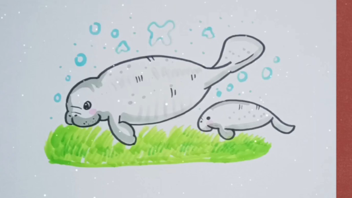 【简笔画】一起来画海牛