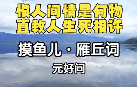 [图]《摸鱼儿·雁丘词》：恨人间情是何物，直教生死相许