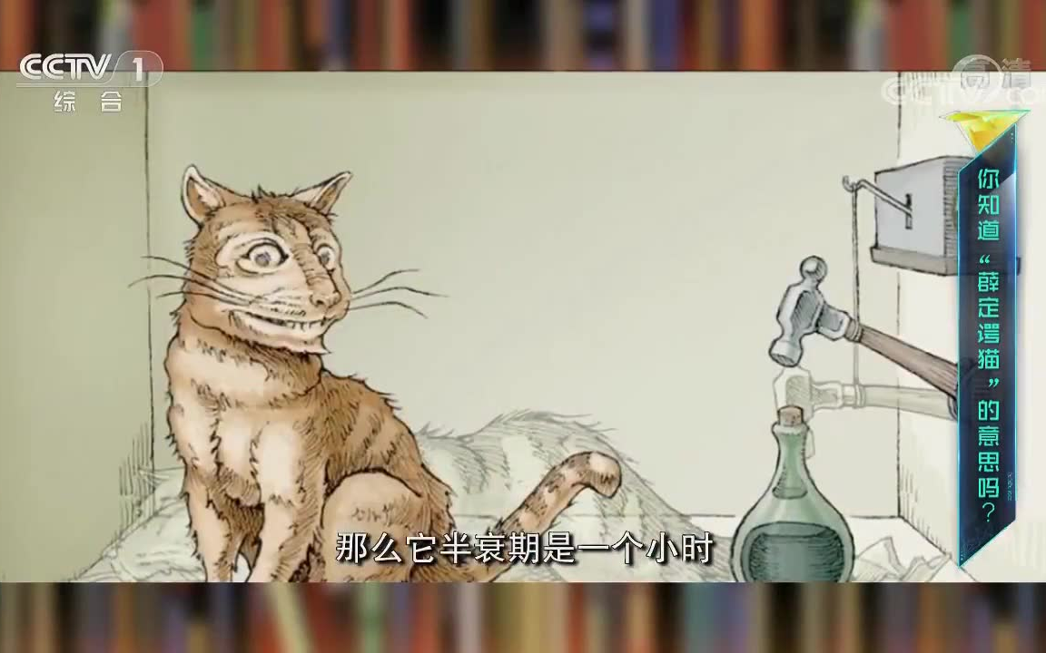 【薛定谔的猫】听院士郭光灿科普薛定谔的猫.