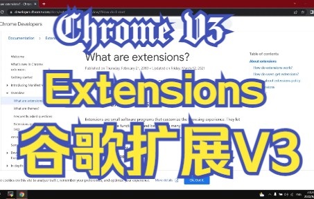 谷歌浏览器扩展V3[Chrome extension V3]哔哩哔哩bilibili