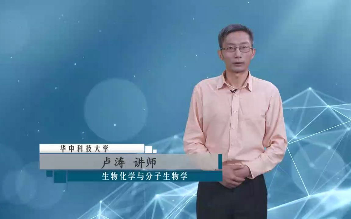 3.2 酶的工作原理哔哩哔哩bilibili