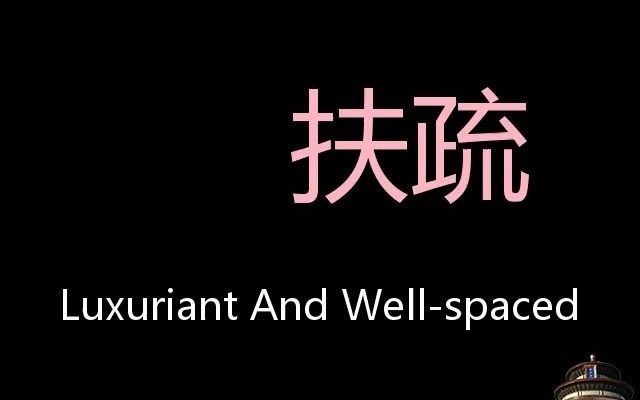 扶疏 Chinese Pronunciation luxuriant and wellspaced哔哩哔哩bilibili