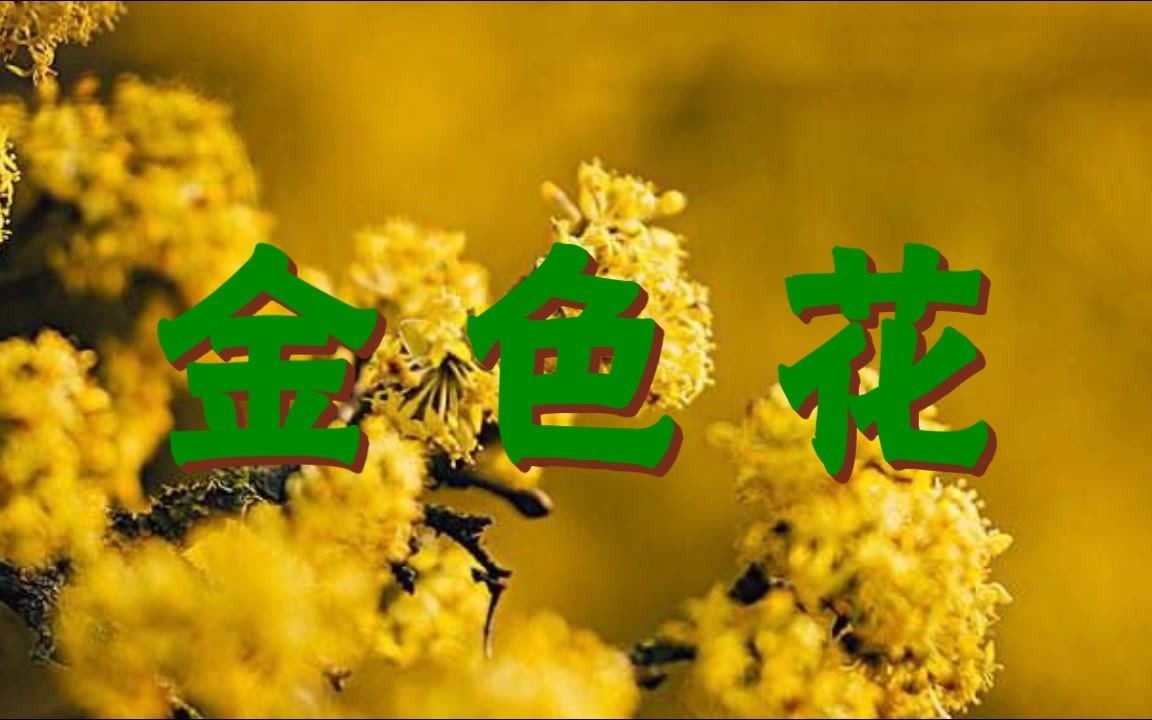 七上71《金色花》诵读哔哩哔哩bilibili