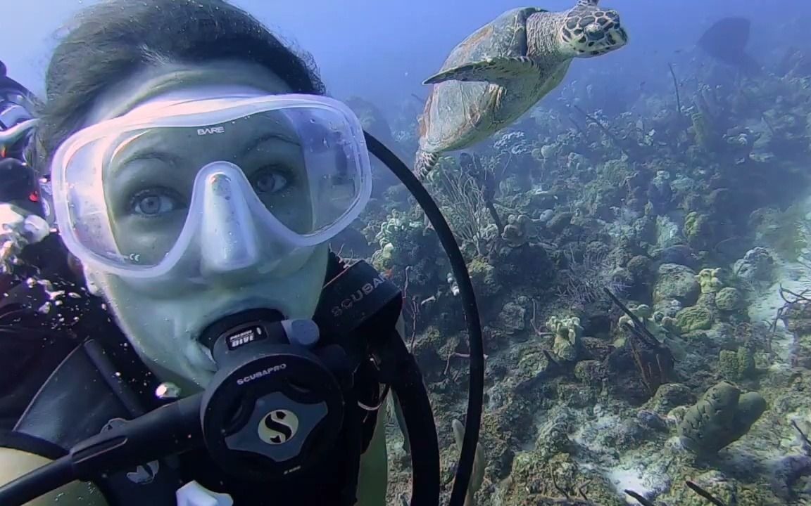 美女潜水员水下和海龟玩耍