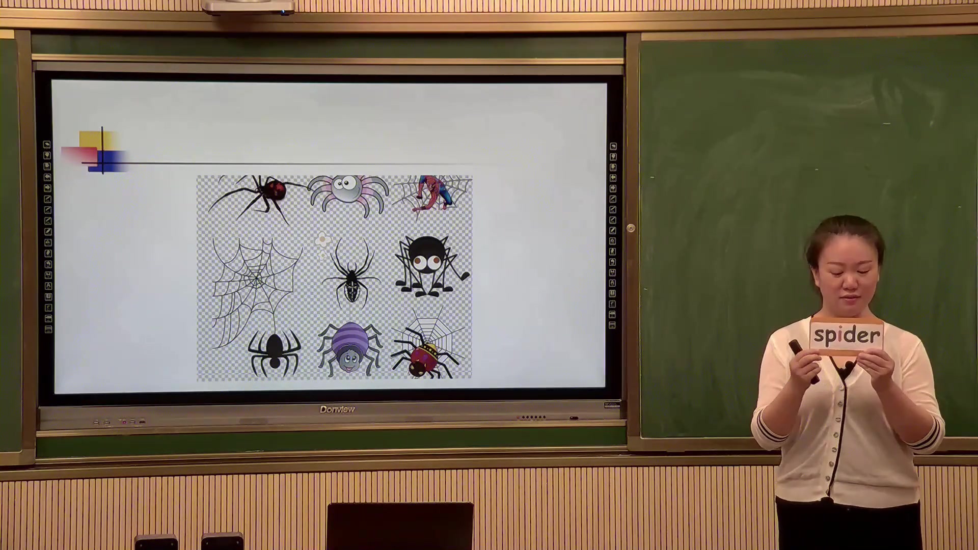 eek spider图片