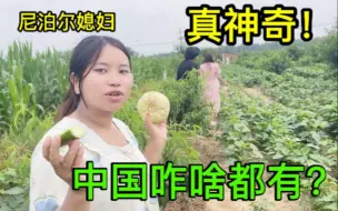 Download Video: 尼泊尔媳妇远嫁中国农村，感叹生活太幸福：啥都有，条件真好！ #跨国夫妻 #尼泊尔媳妇 #农村生活