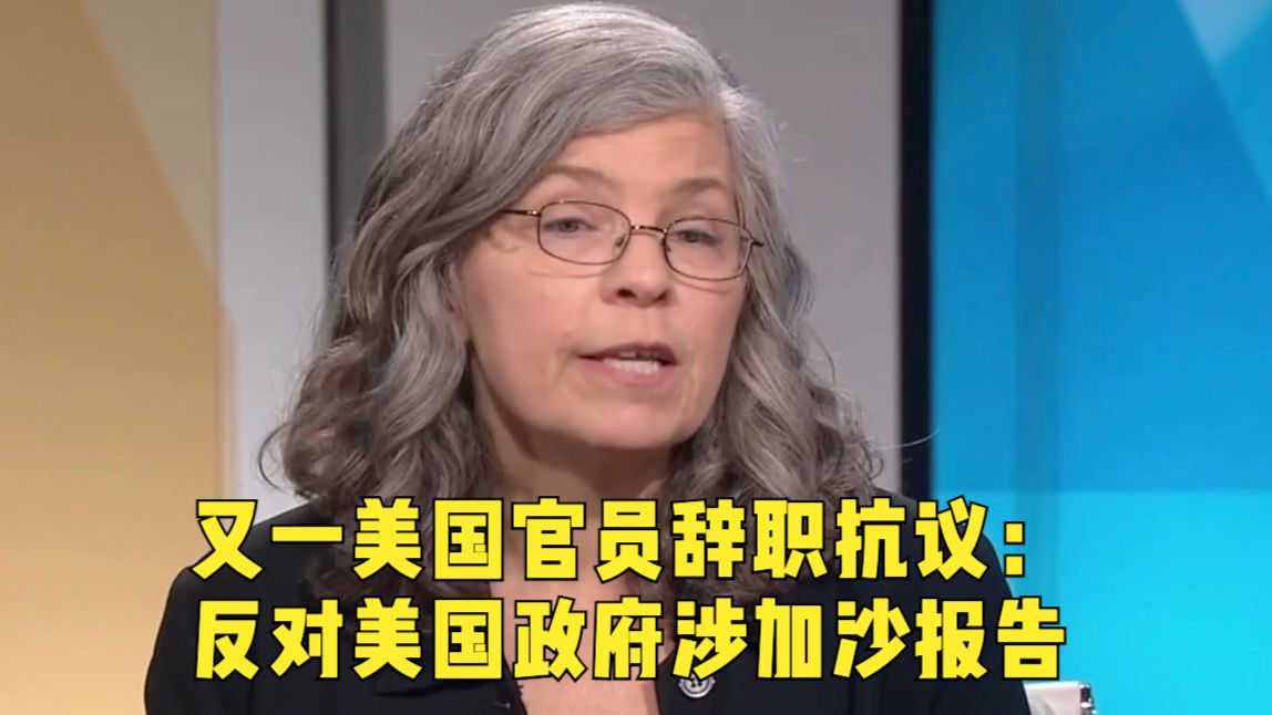 一语中的|又一美国官员辞职抗议:反对美国政府涉加沙报告哔哩哔哩bilibili