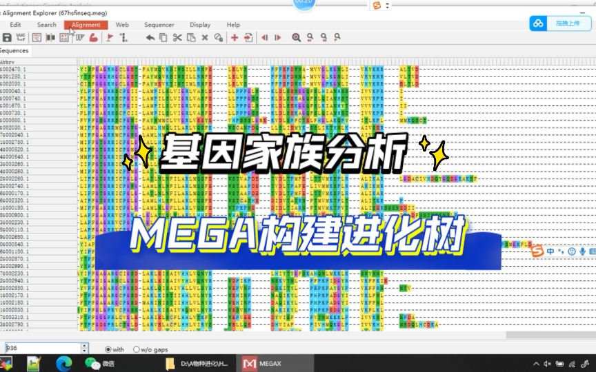 [图]【基因家族分析】1.2 MEGA构建系统进化树