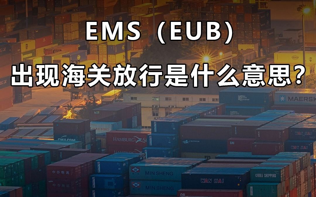 【宜日达小知识】EMS(EUB)出现海关放行是什么意思?哔哩哔哩bilibili