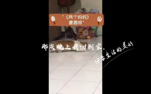 《两个妈妈》重置版