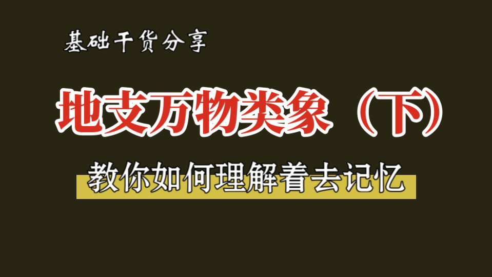 【易学基础】十二地支的万物类象详解(下),如何理解着去记忆哔哩哔哩bilibili