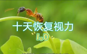 Download Video: 恢复视力和逆转近视最厉害的方法，让你视力轻松超过2.0，练10天就可看到视力恢复效果！